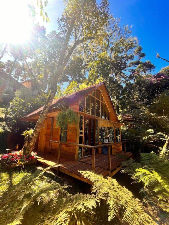 Casa de férias Chale Samambaia